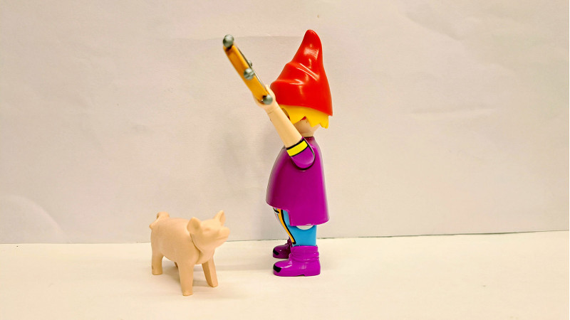 Playmobil Custom Clown #26