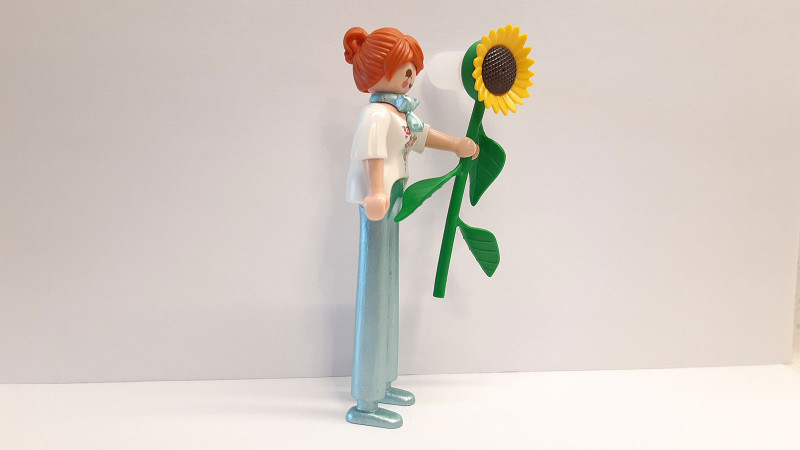Playmobil Custom Clown #6