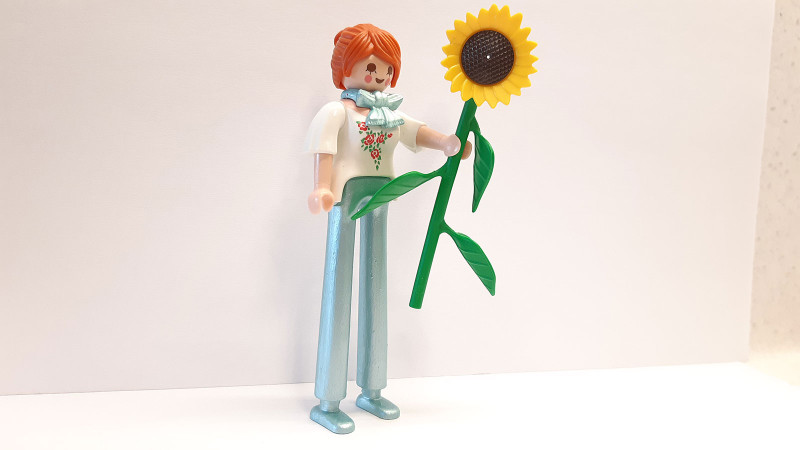 Playmobil Custom Clown #6