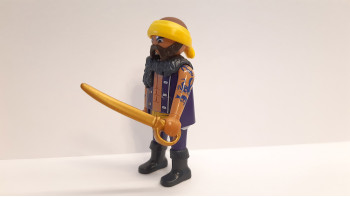 Playmobil Custom Pirate #1