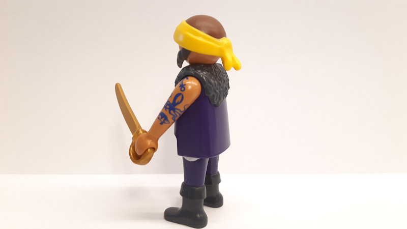Playmobil Custom Pirate #1