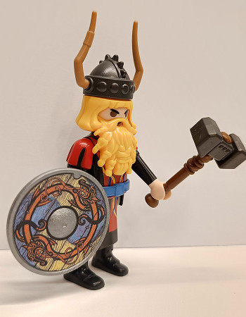 Playmobil Custom Viking #6
